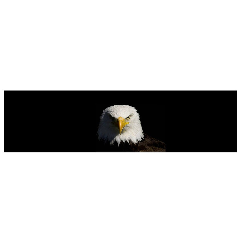 45cm 135cm Car Graphic Tint Decal Rear Window Film Sticker Truck For SUV for Eagle
