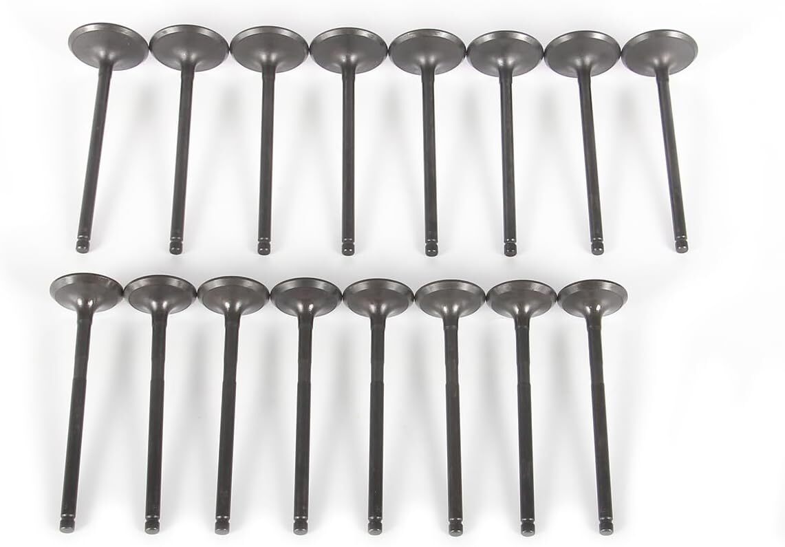 2.0L Intake  Exhaust Valves Kit Fit for Ford Focus EcoSport 2018 1S7G6507C7G