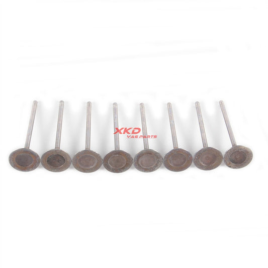 2.0T 8 intake valves are suitable for BMW 3 Series, 5 Series, X3, X4, and for Mini Cooper .