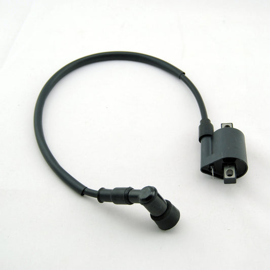 Ignition Coil 90cc 110cc 125cc 150cc 250cc Chinese Taotao ATV Scooter Pit Bike