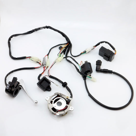 Wiring Harness Loom IGNITION CDI CONTROL UNIT COIL SWITCH for YAMAHA PW50 PY50